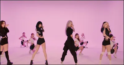 Quel r&ocirc;le voudrais-tu avoir dans le groupe ? (1)