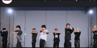 Quel r&ocirc;le voudrais-tu avoir dans le groupe ? (2)