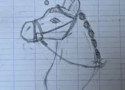 Quiz Dans les marges de mes cahiers (3)