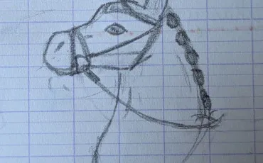 Quiz Litt�rature, po�sie