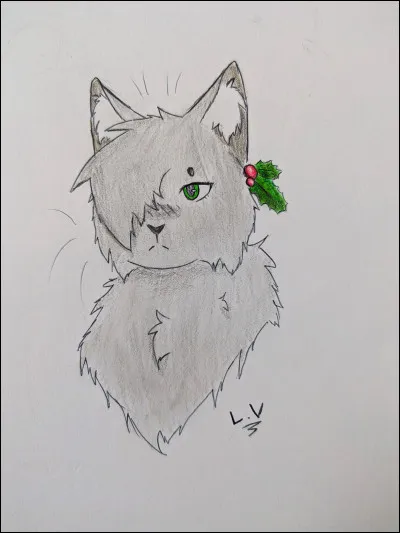 Qui est le p&egrave;re de Nuage Agile ?