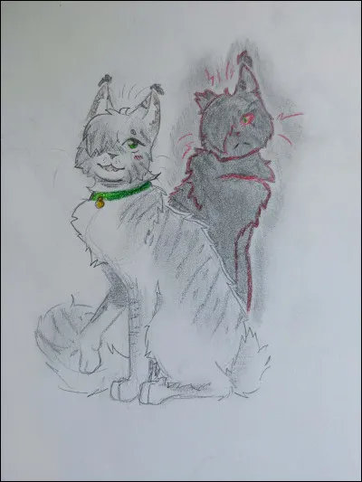 Pourquoi Plume d�Oie a-t-il d&ucirc; devenir gu&eacute;risseur ?