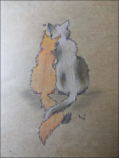 Combien de cheffes (femelles) y a-t-il eu dans le Clan du Tonnerre ? (Jusqu�au cycle 4)