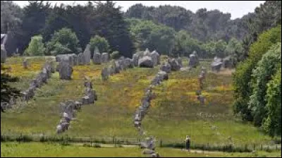 Ceux de Carnac sont particulièrement connus