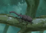 Quiz Naruto | 'La Recherche du Bikch'