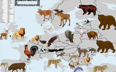 Quiz Animaux