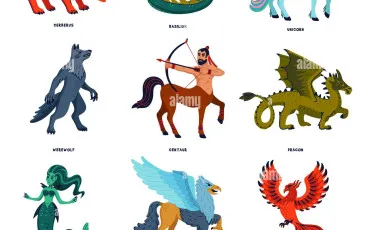 Quiz Animaux