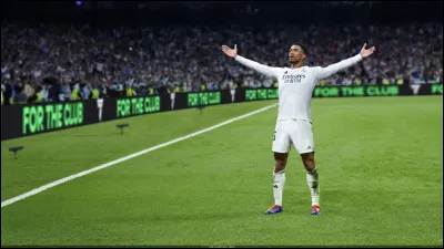 De quel jeu provient cette photo ?