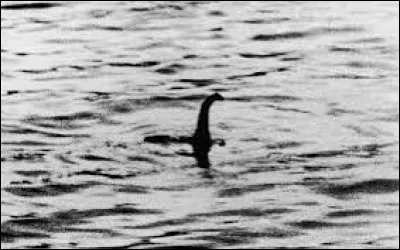 En 1975, l'ornithologue Peter Scott a créé un nom scientifique pour le monstre du Loch Ness, Nessiteras Rhombopteryx. Quel jeu de mots en anglais ce nom cache-t-il ?