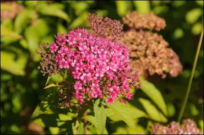A des enfants célèbres.