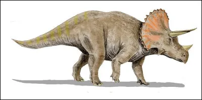 Quel est le nom de ce dinosaure herbivore ayant vécu il y a 6 million d'années sur les terres de l'Amérique du Nord actuelle ?
