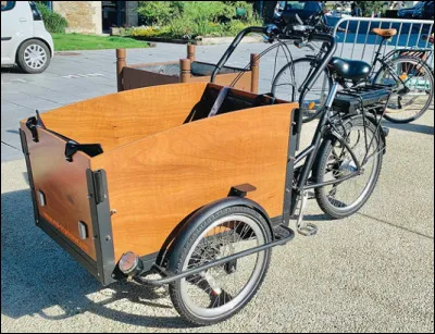 Quel est le nom de ce véhicule à 3 roues destiné à transporter des marchandises ou des personnes ?