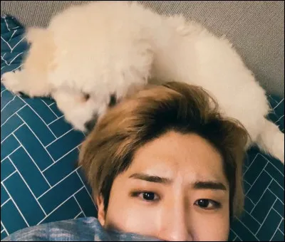 Comment s'appelle son chien ?