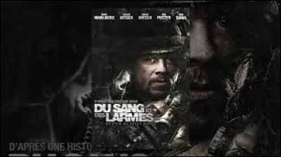 En quelle année est sorti le film intitulé "Du sang et des larmes" ?