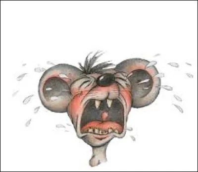 Complétez cette expression : "Pleurer à ... larmes" :