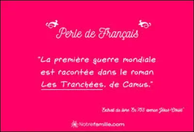 Mot commençant par T : Marsupial carnassier de Tasmanie, appelé aussi loup ou tigre de Tasmanie, censé avoir disparu !