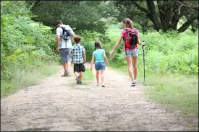 Cette famille a opté pour des vacances ...