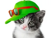 Test Quel est ton animal totem ?