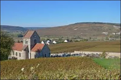 Je vous propose de partir au milieu des vignes, à Courthiézy. Village de l'arrondisement d'Épernay, il se situe dans le département ...