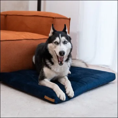 Alors, es-tu patient ?