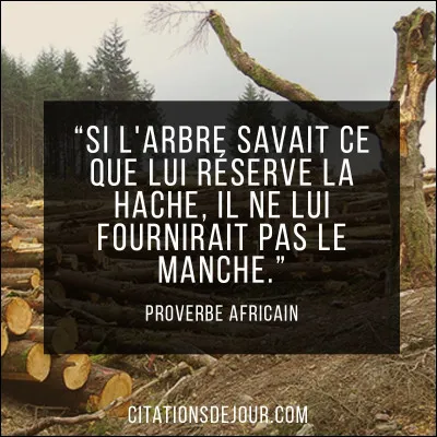 Quelle citation de correspond le mieux ?