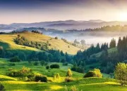 Quiz La Nature