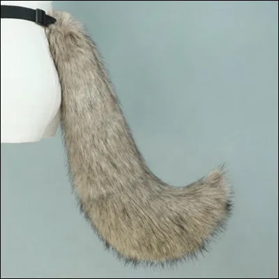 Comment se nomme cette partie du corps d'un animal située à l'arrière ?