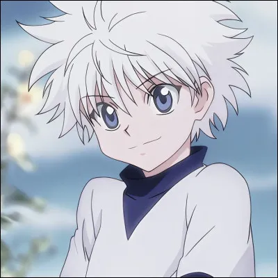 Penses-tu ressembler à Killua ? (Ou tes amis t'ont-ils déjà dit que tu lui ressembles)