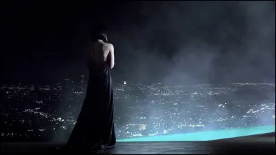 Quelle chanteuse française est indissociable de la coupeau bol ?