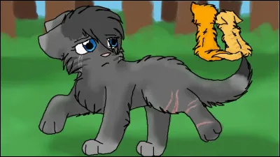 Durant mon apprentissage, j'ai été renversée par un monstre (une voiture).
À cause de ma blessure je n'ai donc pas pu devenir guerrière.
Je suis morte en protégeant les chatons de Poil de Châtaigne.
Cur Cendré est ma réincarnation.
Qui suis-je ?