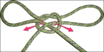 Qui détient le record de maillots à pois sur le Tour de France ?