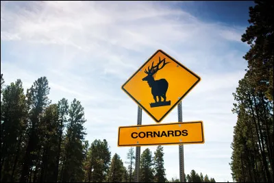 Revenons un instant sur la plus débauchée, j'ai nommé Messaline. Au cours d'une de ses frasques, elle croise Mnester, un mime au physique ''attirant''. Déception, ou prudence du bonhomme, Mnester refuse les avances de la ''goulue''. Elle va se plaindre à son empereur d'époux et celui-ci ordonne à Mnester...