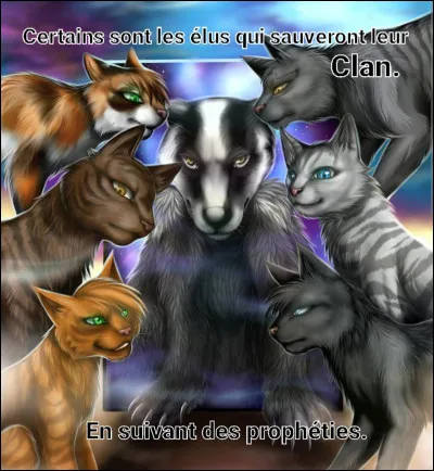 Qui sont les élus dans la prophétie du cycle 2 ?