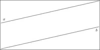 Ces droites sont ...