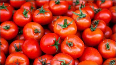 Les tomates peuvent être de différentes couleurs, mais combien y en a-t-il ?