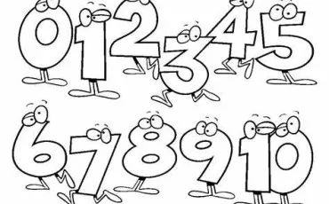 Quiz Mathematiques