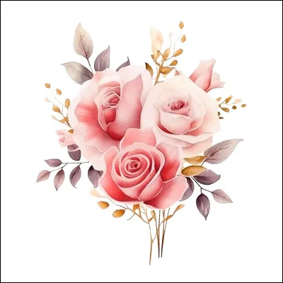 Quelle image préfères-tu ?