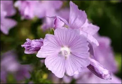 Qui est le chanteur de "Beautiful Things" ?