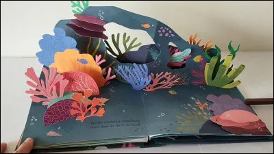 &Agrave; la m&eacute;diath&egrave;que, tu empruntes :