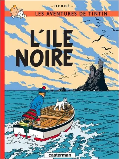 Dans quel pays se déroule l'action de cet album de Tintin ?