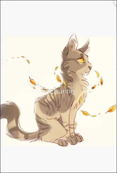 Gris Poil part des montagnes car...