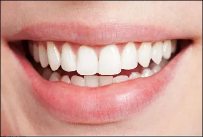 Quel est le nombre d'incisives chez un adulte ?