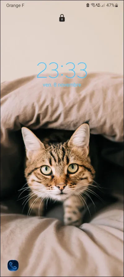 Les chats sont :