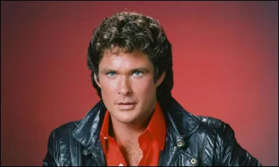Dans quelle s&eacute;rie ''David Hasselhoff'' n'a-t-il PAS jou&eacute; ?