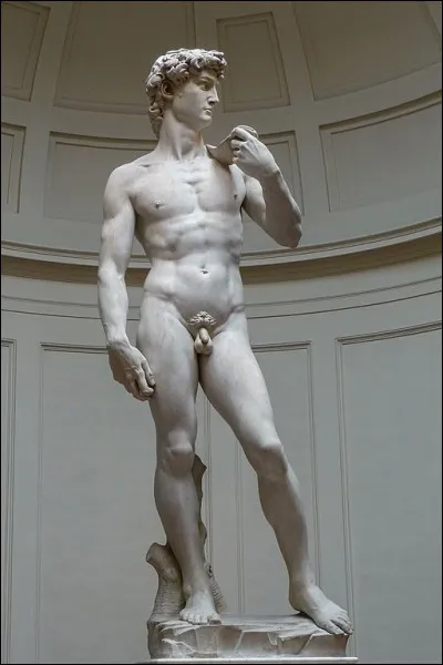 Quel sculpteur italien est l'auteur de ce c&eacute;l&egrave;bre ''David'' ?