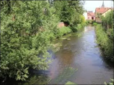 Quelle est cette rivière, longue de 82 km, qui prend sa source dans les Vosges du nord, traverse la plaine d'Alsace et se jette dans le Rhin ?