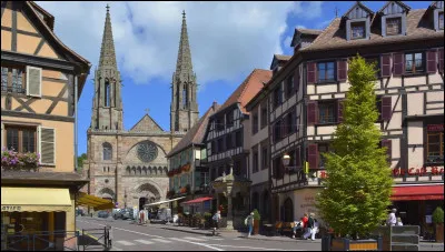 Quelle est cette ville de 12 000 habitants, située au sud-ouest de Strasbourg dans la plaine d'Alsace, en bordure des Vosges ?