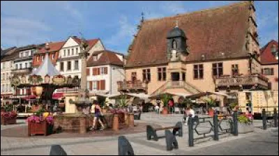 Quelle est cette ville de 9 300 habitants, située en bordure des Vosges au débouché de la vallée de la Bruche ?