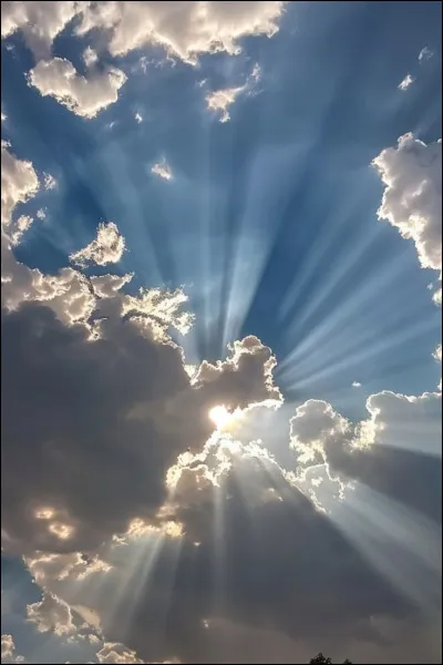 Est-ce que tu préfères un environnement frais avec des insectes ou un environnement très chaud ?