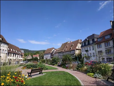 Quelle est cette ville française de 7 500 habitants, traversée par la Lauter et frontalière de l'Allemagne ?